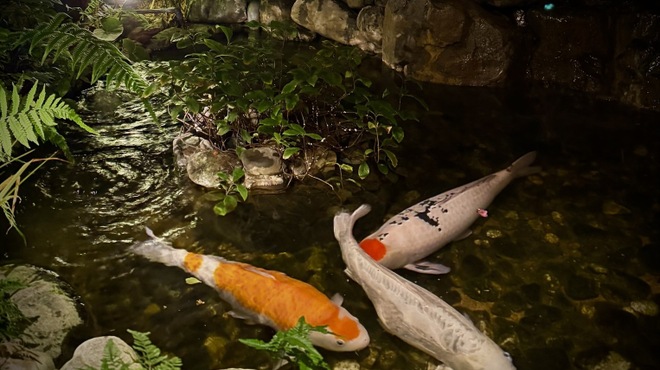 京都三条 箔 - メイン写真: