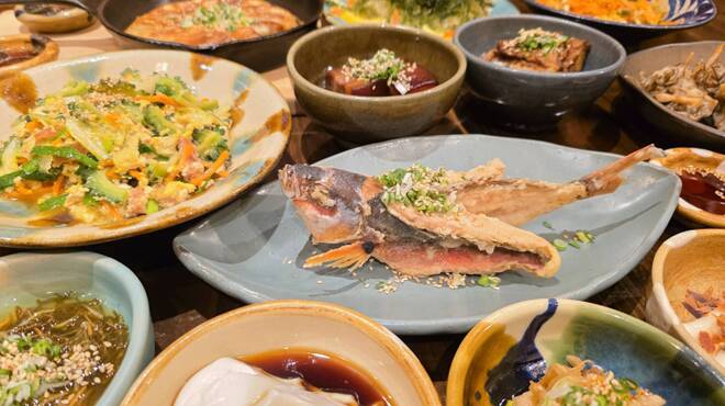 沖縄創作居酒屋 天の川食堂 てぃんがーら - メイン写真: