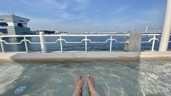 THE WHARF HOUSE YAMASHITA KOEN - メイン写真: