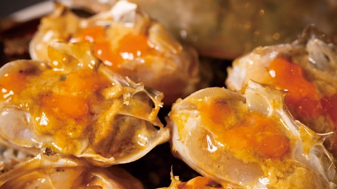 北海道ジンギスカン 前代未聞 - メイン写真: