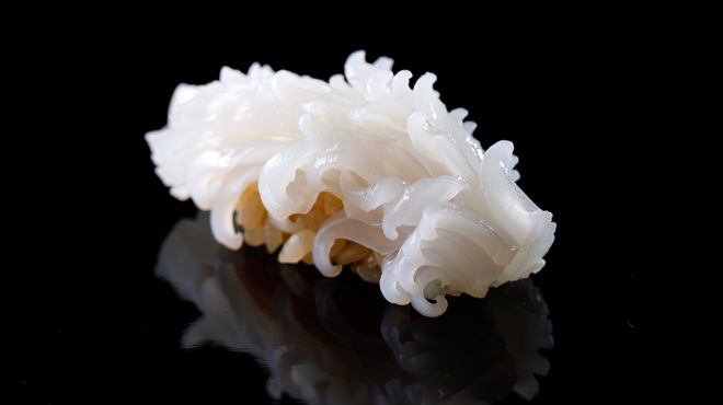 鮓 ふじなが - メイン写真: