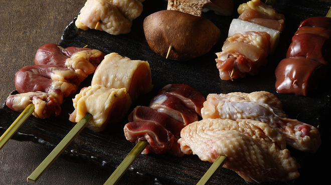 鳥ばか一代 - メイン写真: