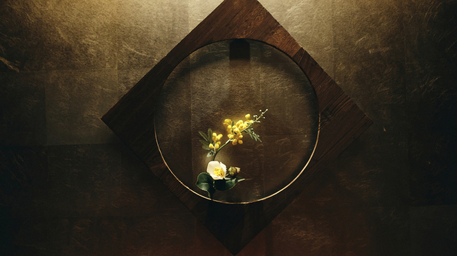 鳥ばか一代 - メイン写真: