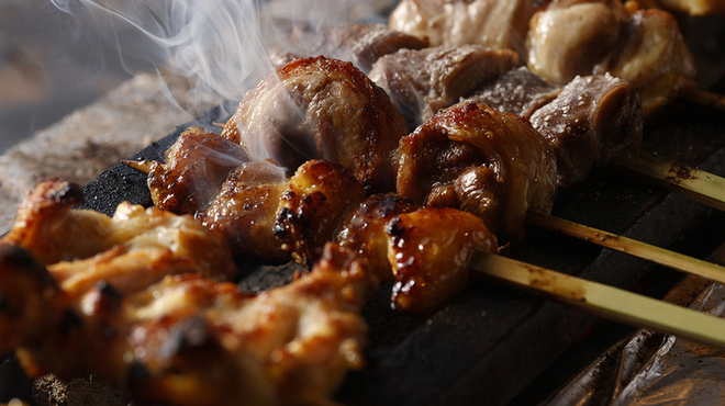 鳥ばか一代 - メイン写真: