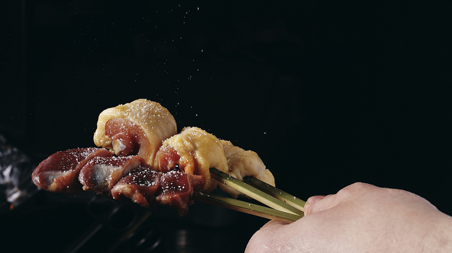 鳥ばか一代 - メイン写真: