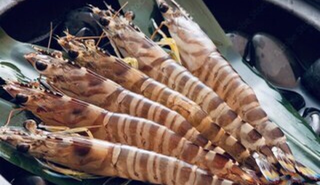 浜焼き居酒屋 バルバルATAMI - メイン写真: