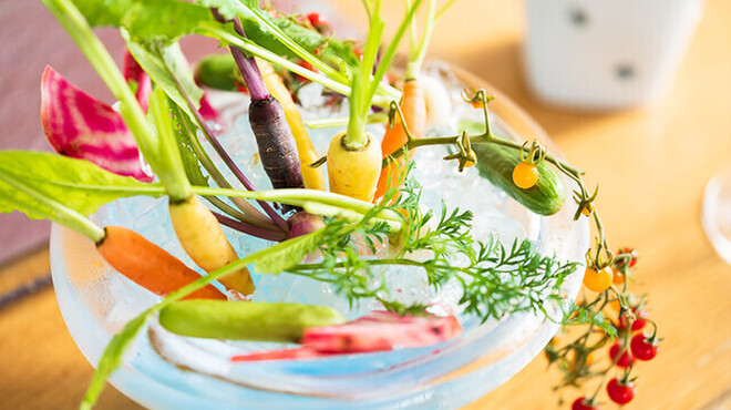 南禅寺参道 菊水 - メイン写真: