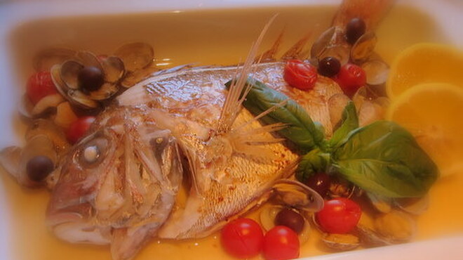 スガッチィー - メイン写真: