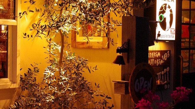 スガッチィー - メイン写真: