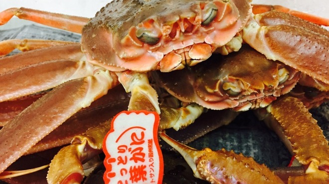 山陰漁酒場 丸善水産 - メイン写真: