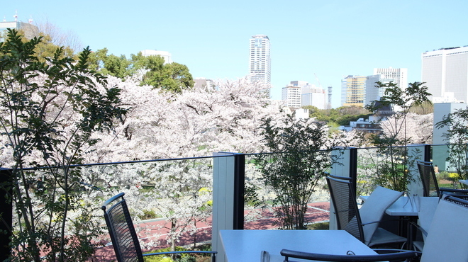 ハルヤマシタ 東京本店 - メイン写真: