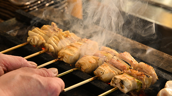 焼鳥 鳥せい 北浦和店 - メイン写真: