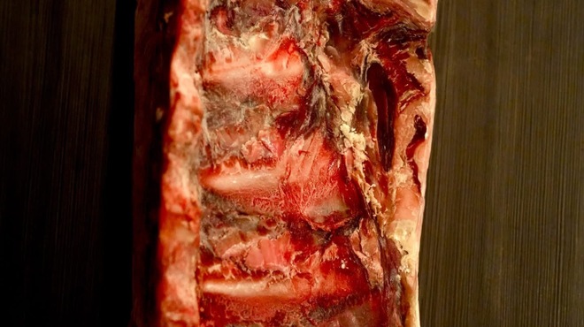 尾山台 山田 - メイン写真: