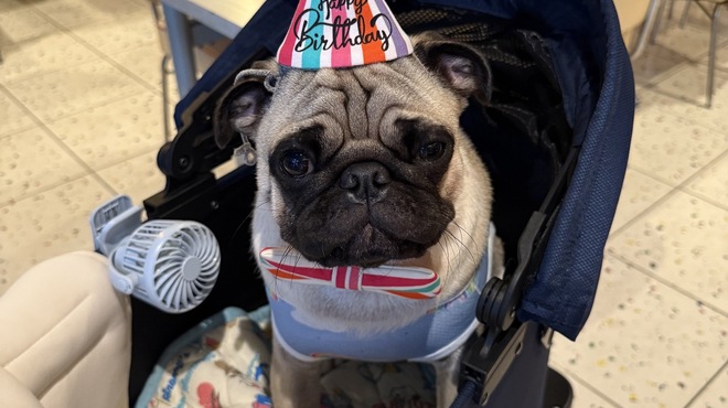 LF CAFE - メイン写真: