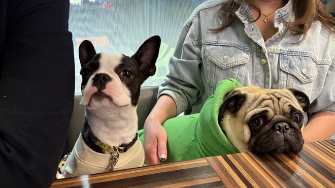 LF CAFE - メイン写真: