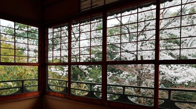 百楽荘 - メイン写真: