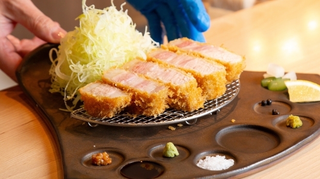 ニューベイブ - メイン写真: