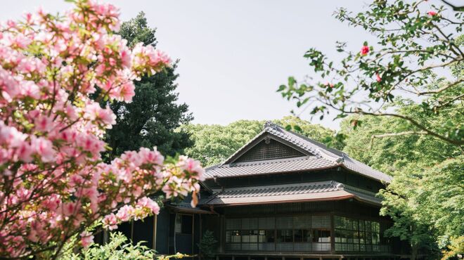 高宮庭園茶寮 - メイン写真: