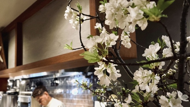 庵樹 - メイン写真: