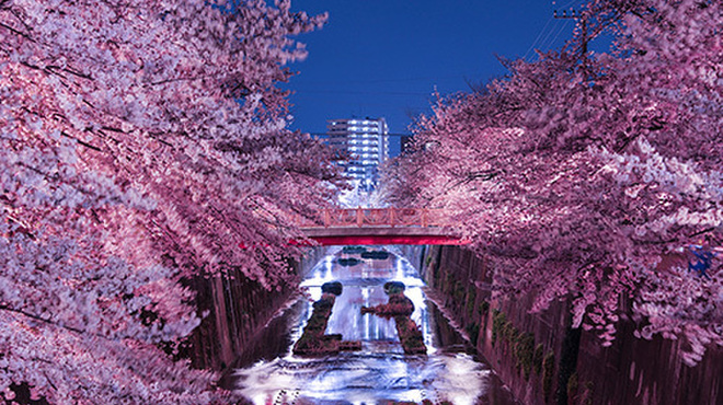 麦酒庵 - メイン写真: