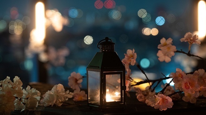 渋谷 Blue bird - メイン写真: