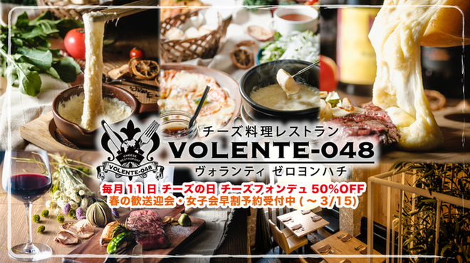 チーズ料理レストラン VOLENTE-048 - メイン写真: