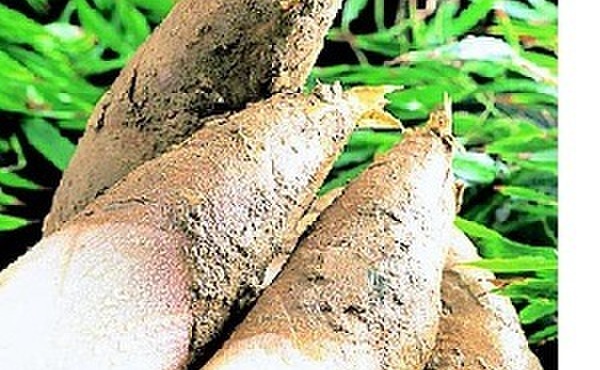 卓楽 - メイン写真: