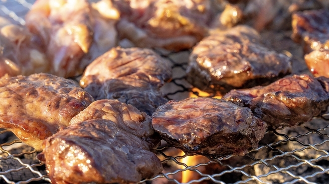 豊洲ぐるり公園手ぶらBBQ広場 - メイン写真: