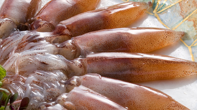 北陸料理 新越 - メイン写真: