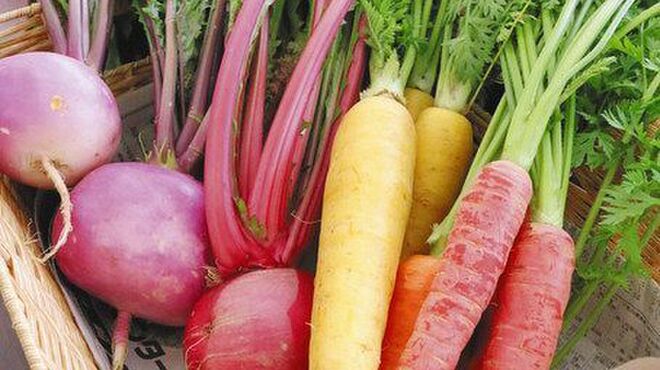 カステリーナ - メイン写真: