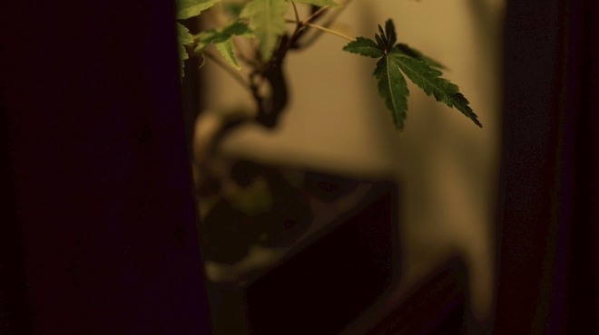 いまここ - 外観写真: