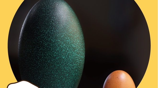 獣肉酒家 米とサーカス - ドリンク写真: