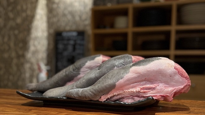 Wagyu Matsushita Kamidoori ten