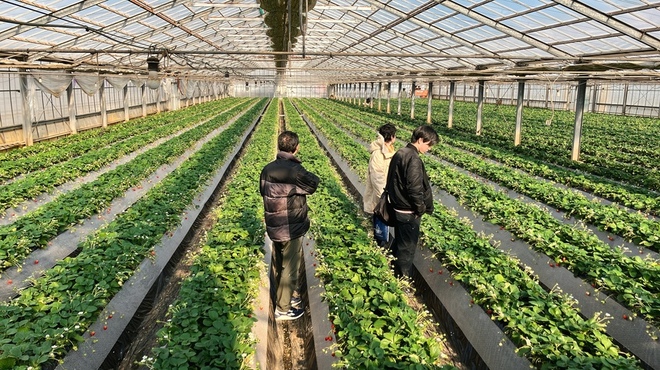 リストランテ アキタ 南青山 - メイン写真: