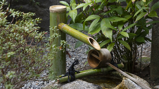 近又 - メイン写真: