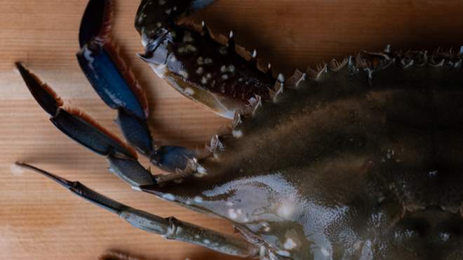 無題 - メイン写真: