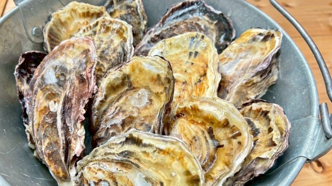 蒸蒸酒場 カイフォルニア - メイン写真: