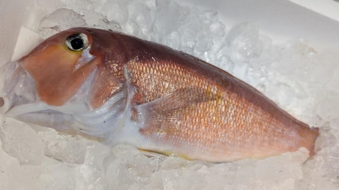 リストランテ アキタ 南青山 - メイン写真: