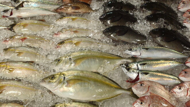 江口蓬莱館 - 内観写真:鮮魚コーナー