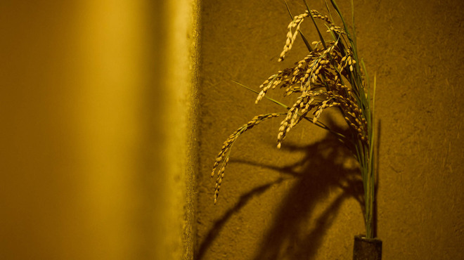 東雲 - 内観写真: