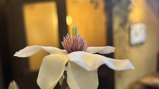French BISTRO SAUVAGE - メイン写真: