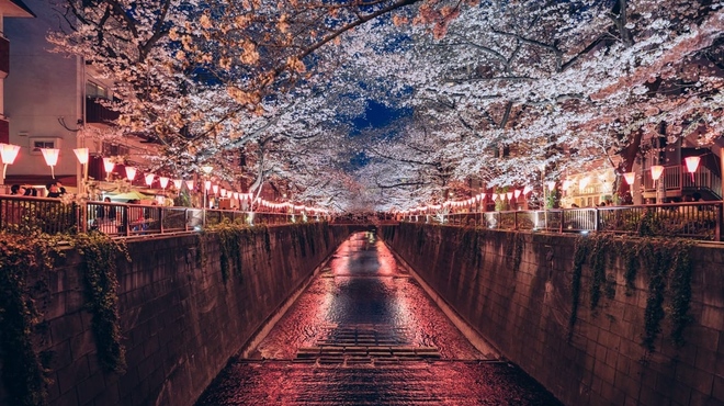 しゃぶしゃぶ KINTAN 代官山本店 - メイン写真: