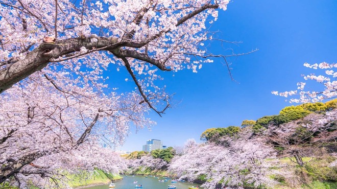 神楽坂焼肉 Kintan - メイン写真: