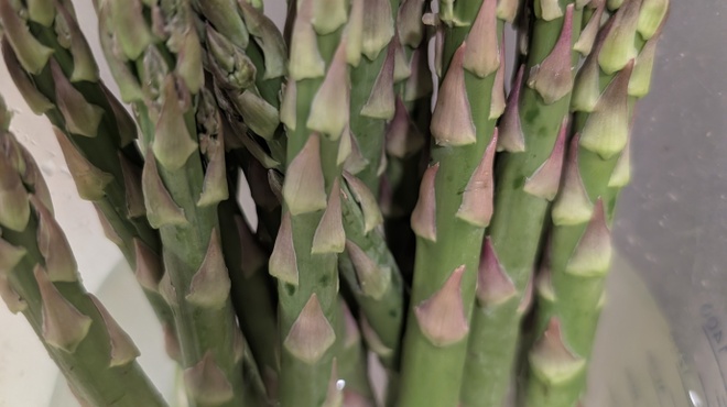 魚河岸本舗 ぴち天 - 料理写真: