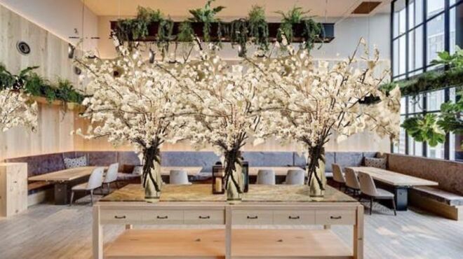 横浜焼肉kintan - メイン写真: