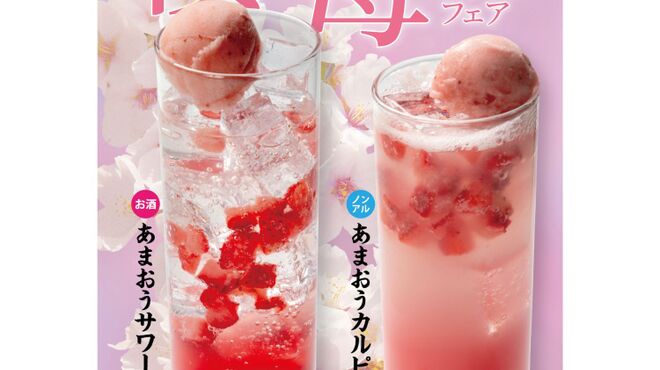 やきやき鉄板 ぼんくら家 - ドリンク写真: