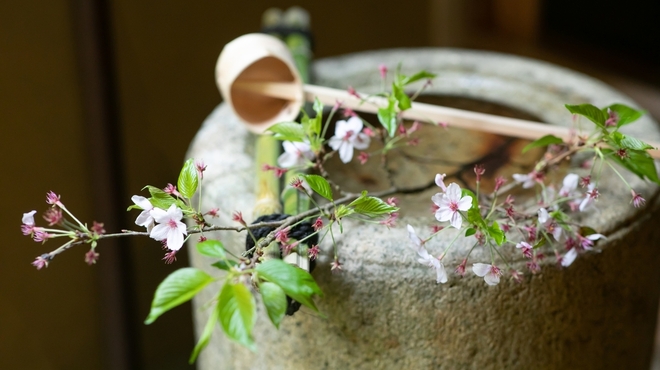 松山閣 松山 本店 - メイン写真: