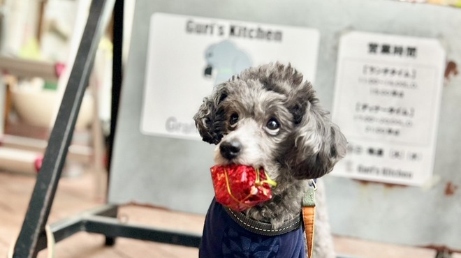 Guri's Kitchen - メイン写真: