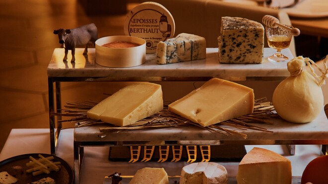 SCALAE - メイン写真: