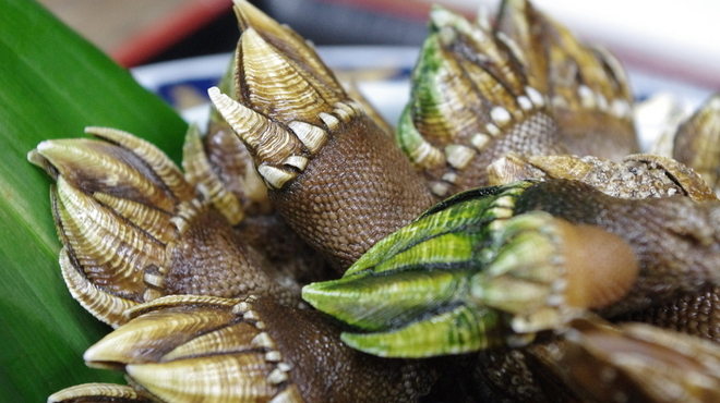 博多 今池本店 - メイン写真: